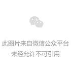 10种常见的室内植物，园林公司养前先搞清5个问题